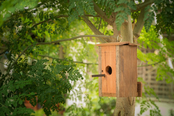 handmade house for birds.
