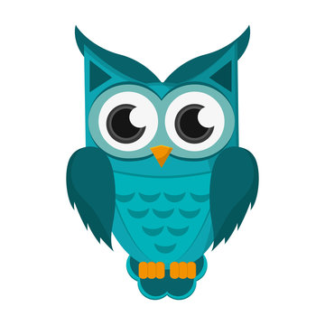 flat design owl cartoon icon vector illustration