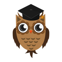 flat design owl cartoon with graduation cap icon vector illustration
