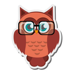 flat design owl cartoon wearing glasses icon vector illustration