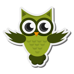 flat design owl cartoon icon vector illustration