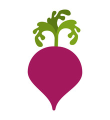 beet vegetable health icon