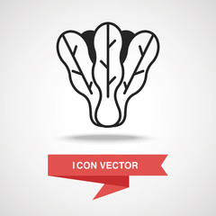 vegetables icon