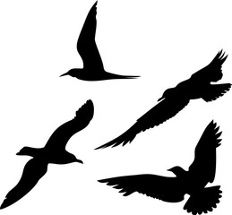 Naklejka premium Silhouettes of flying seagulls