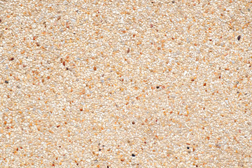 Stone texture background / Close up of pathway paved with cobblestones background.