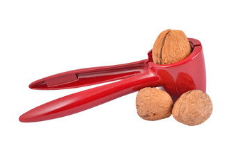 Nutcracker and nut
