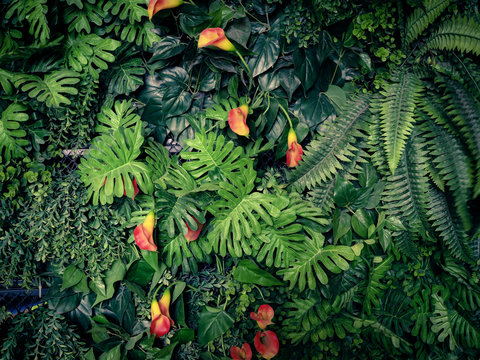 Fototapeta Modne zielone lato w dżungli - w egzotycznym tonie vintage