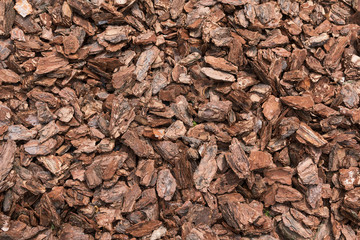 Natural bark used as a soil covering the garden. Background and