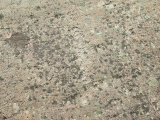 White Sea petroglyphs