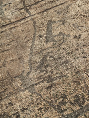 White Sea petroglyphs