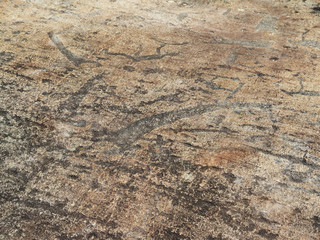 White Sea petroglyphs