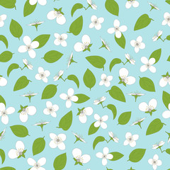 Jasmine seamless pattern. Hand-drawn flowers