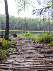 Wooden path to the forest lake