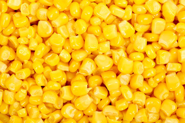 sweet corn