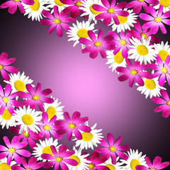 Beautiful floral background of purple and white flowers 