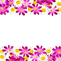 Fototapeta na wymiar Beautiful floral background of purple and white flowers 