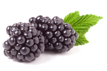 blackberry with leaf isolated on a white background closeup