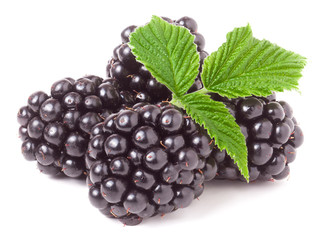 pile of blackberry with leaves isolated on white background