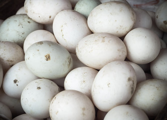 Organic duck eggs at the local farmers market