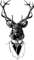 Fototapeta premium Vintage inage deer head in a suit