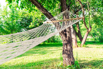 Fototapeta premium White hammock among the trees