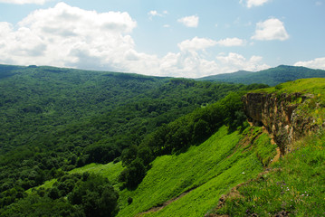 Obraz premium Mountain woodland in summer time
