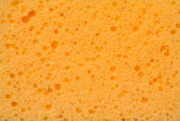 background yellow sponge surface