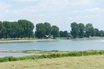 Flussufer mit fliegender Möwe