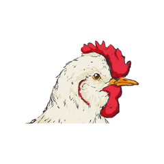 chicken sketch animal farm icon. Isolated and flat illustration. Vector graphic