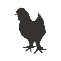 chicken sketch silhouette animal farm icon. Isolated and flat illustration. Vector graphic