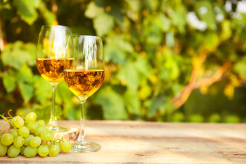 Green grape and two glasses of white wine in the vineyard