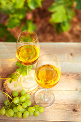 Green grape and two glasses of white wine in the vineyard