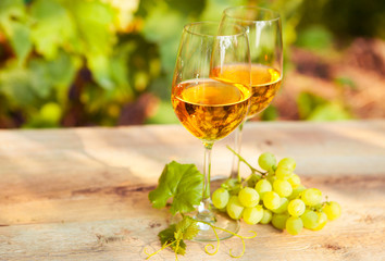 Green grape and two glasses of white wine in the vineyard
