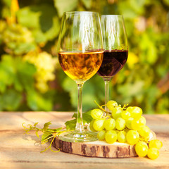 Green grapes and two glasses of the white and red wine on the vi