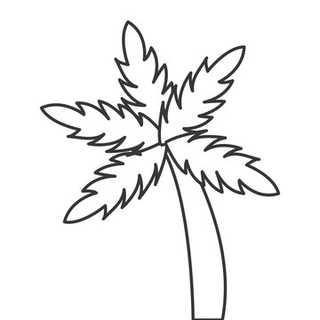 flat design palm tree icon vector illustration