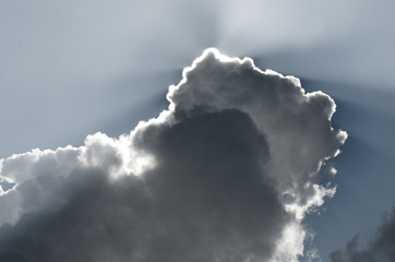 Dark cumulus clouds.