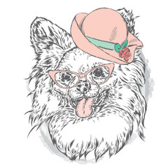 Cute puppy in a hat and sunglasses. Vector illustration for greeting card, poster, or print on clothes. Fashion & Style. Vintage. Beautiful dog.