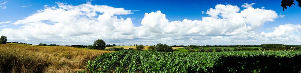 Panorama von Feldern und Wiesen