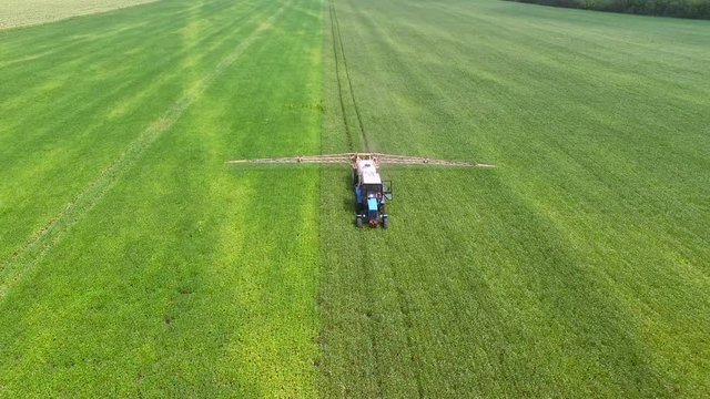 Tractor in a field spray the plants with pesticides. aerial survey