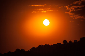 Fototapeta premium full moon in the jungle