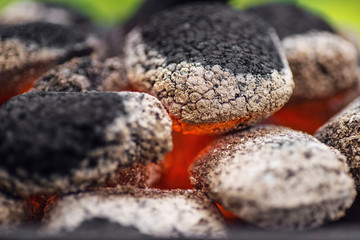 Close up of charcoal briquettes ready for barbecue grill