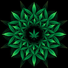 Round pattern from cannabis leaf on black