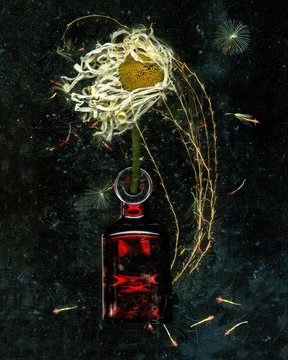 Ornate glass bottle vase with gnarled flower