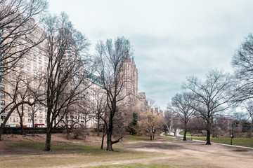 Buildings near Central Park in Manhattan, New York City