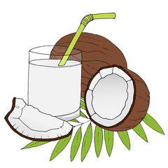 Hand drawn coconuts with leaves on white background.