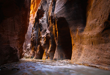 River flowing through the Zion Narrows