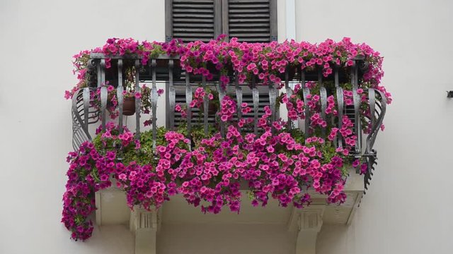 Balkon mit Blumen in Rimini