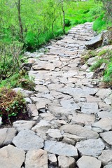 Rocky path