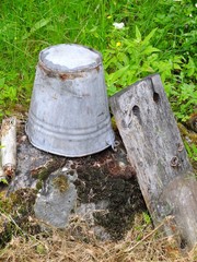 Rustic bucket in a garden