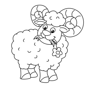 Coloring book with sheep, vector
